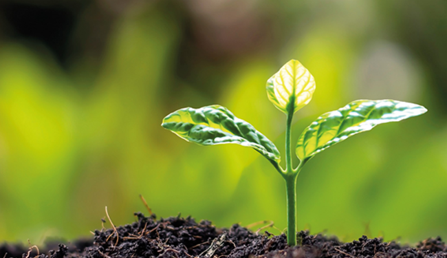 STADA is in top 3% on pharma sustainability, Morningstar Sustainalytics assessment confirms