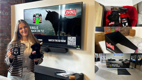 ⭐STADA Thornton & Ross Placement Update⭐