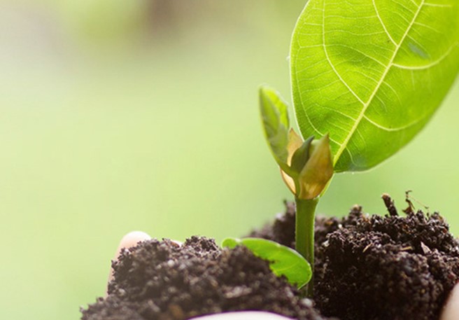 STADA ranks among top 10% of pharma firms on sustainability