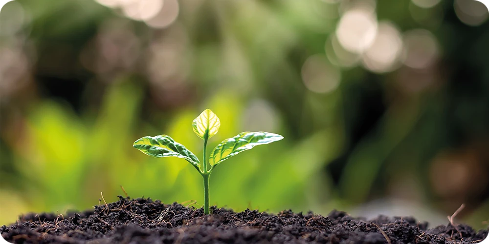 Sustainability Report